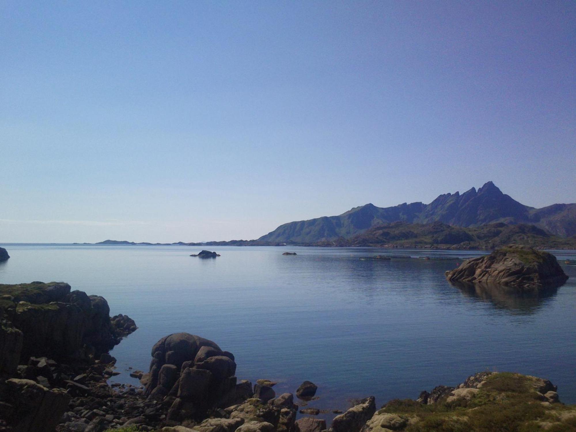 Unique Private Cabin In Lofoten Leknes Εξωτερικό φωτογραφία